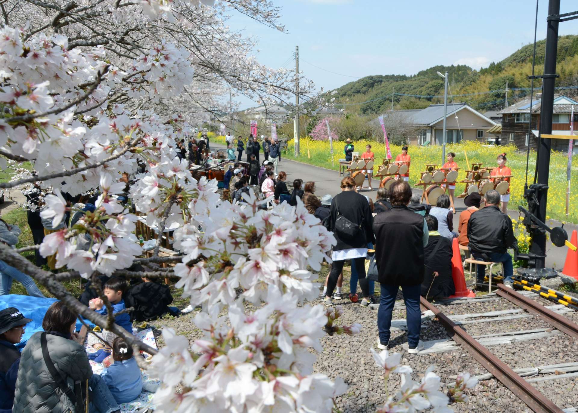 多くの来場者でにぎわったさくら祭り＝２９日、さつま町永野