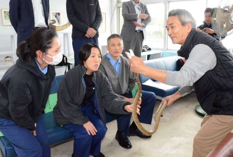 恐る恐るハブを観察する署員＝１日、奄美市名瀬長浜町の奄美観光ハブセンター