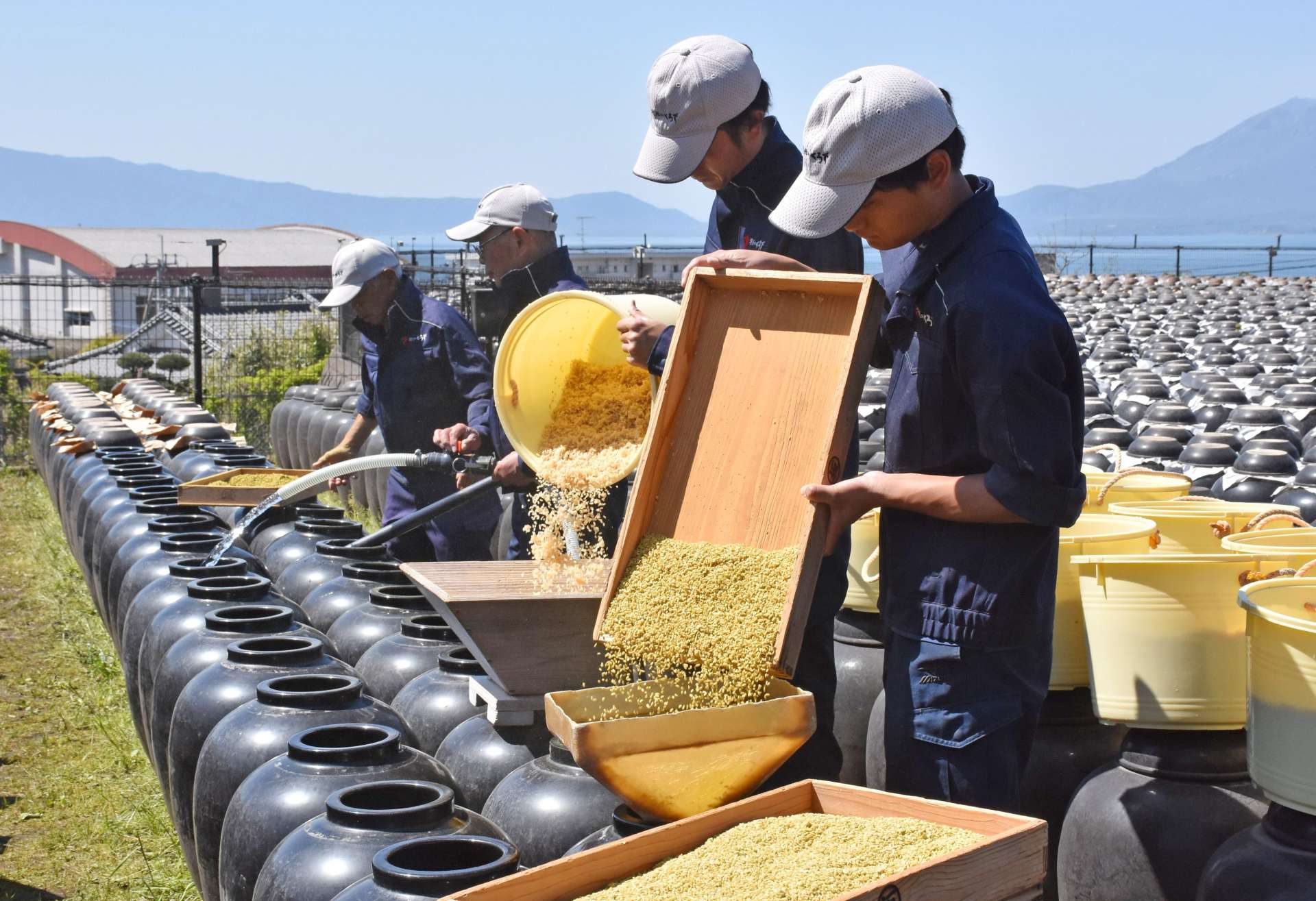 青空の下、黒酢の仕込みをする職人たち＝７日、霧島市福山町福山