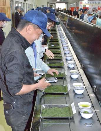 新茶の色や香り、手触りなどを確かめる茶商ら＝９日、鹿児島市の県茶市場