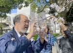 ソメイヨシノの開花状況を調べる勝木俊雄さん＝鹿児島市加治屋町の甲突川左岸