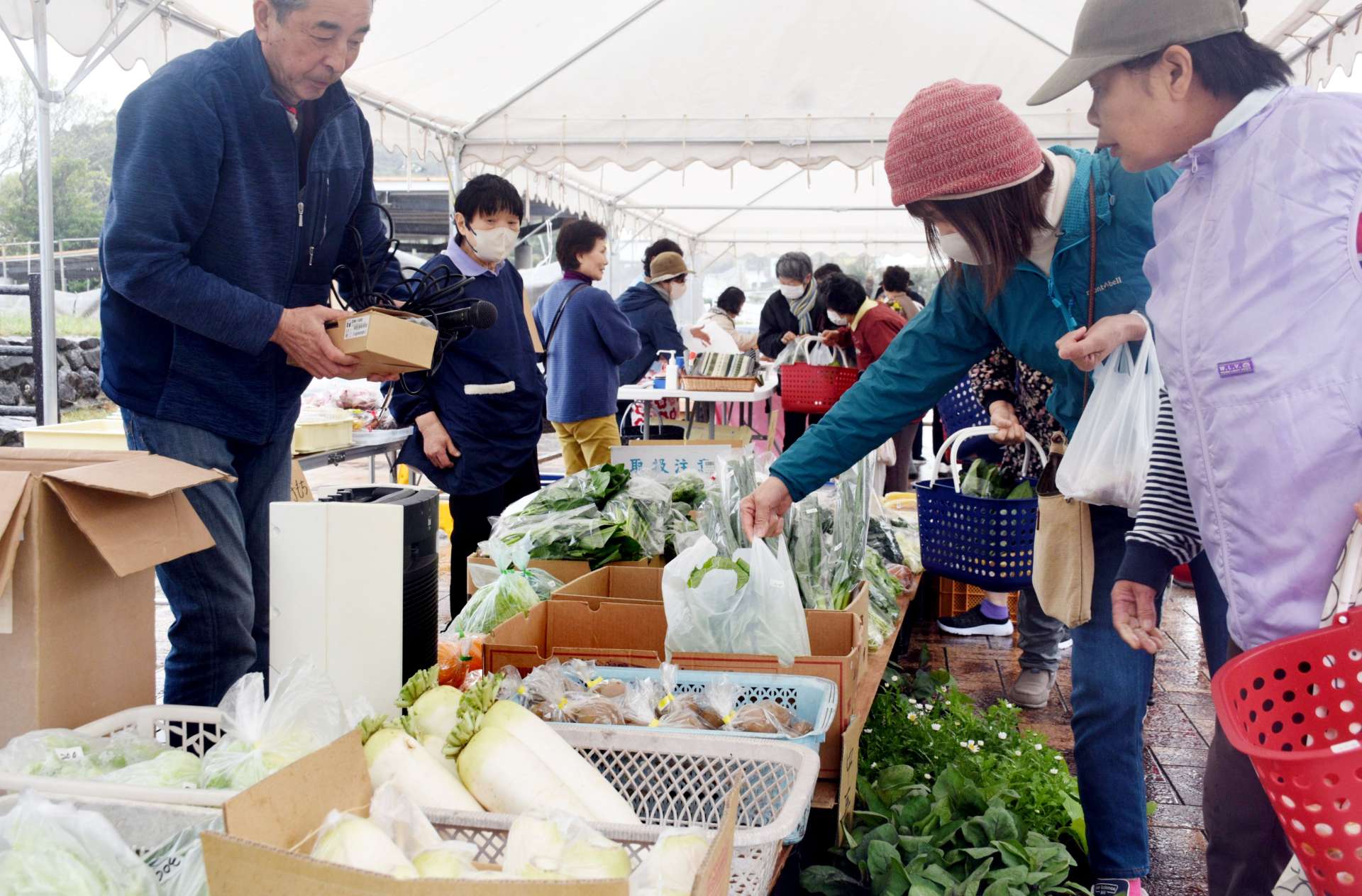 農家から届く新鮮で安い野菜が人気の南界朝市＝３月、中種子町坂井