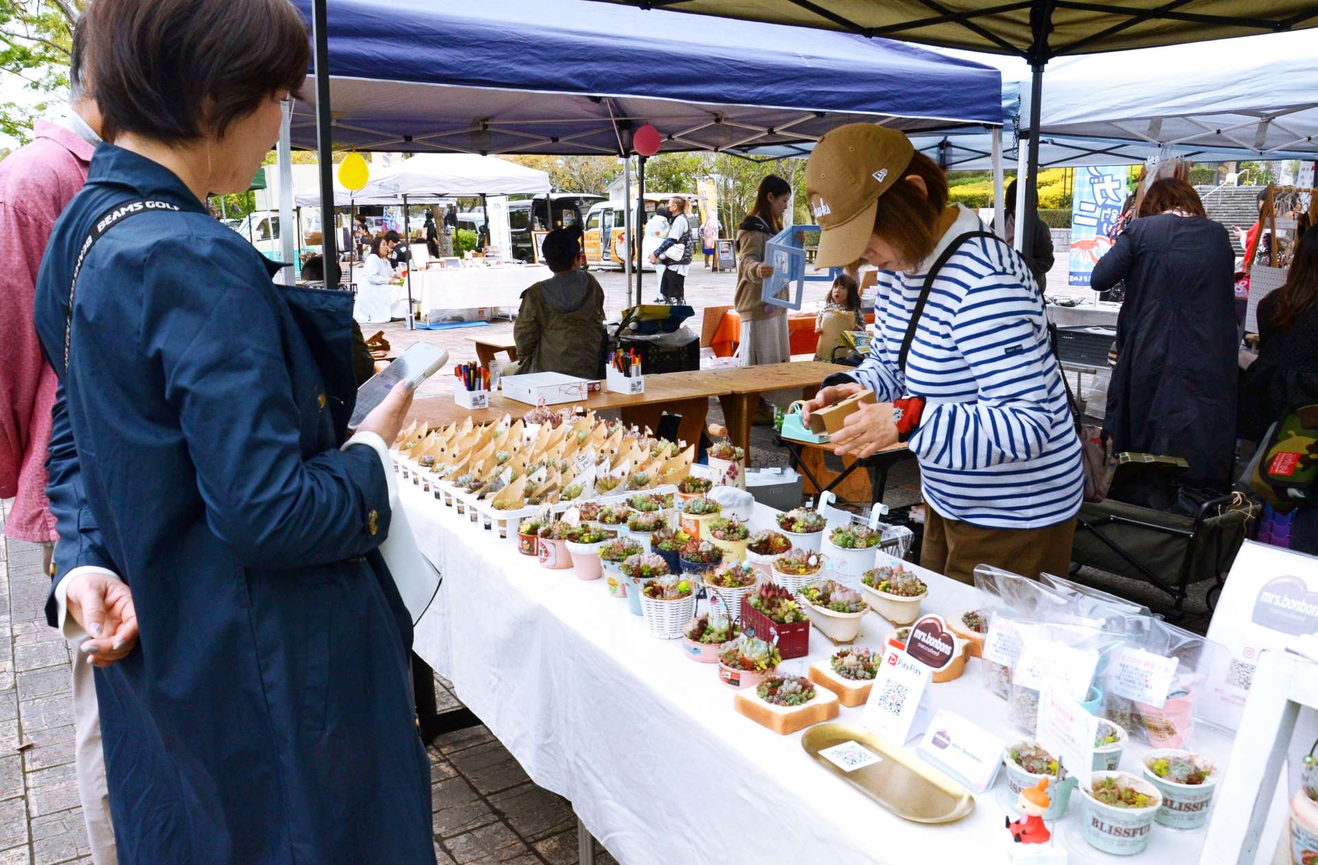 多肉植物の出店で買い物を楽しむ来園者＝１２日、鹿児島市犬迫町のかごしま健康の森公園