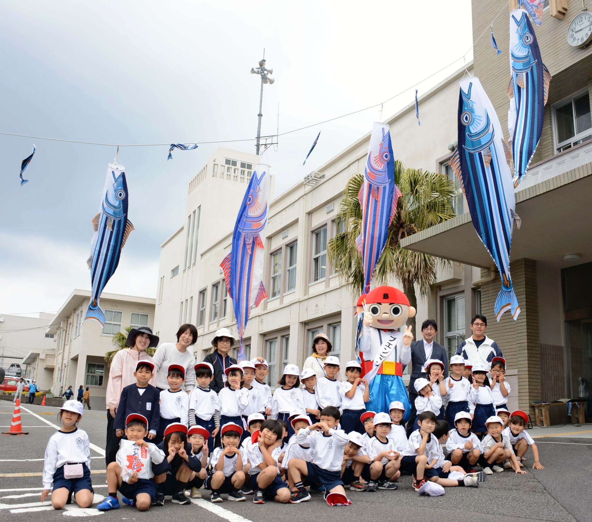 枕崎小学校の児童が掲揚したかつおのぼり＝１７日、枕崎市役所