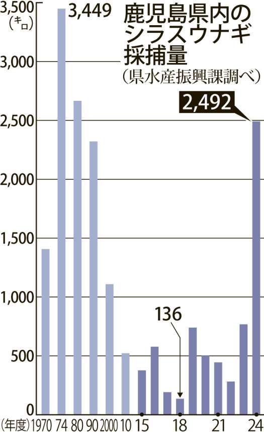 〈関連〉１９７０年以降の年度別シラスウナギ採捕量をグラフで見る（県水産振興課調べ）