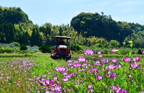 トラクターを使って田起こしが進む田んぼ＝１９日午前、鹿児島市川上町