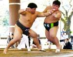 先鋒戦、鹿実Ａ・有川（左）が突き倒しで樟南・森本を破る＝かごしま健康の森公園