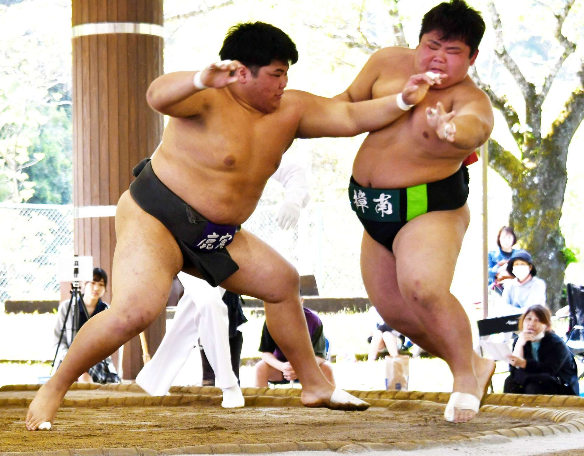 先鋒戦、鹿実Ａ・有川（左）が突き倒しで樟南・森本を破る＝かごしま健康の森公園