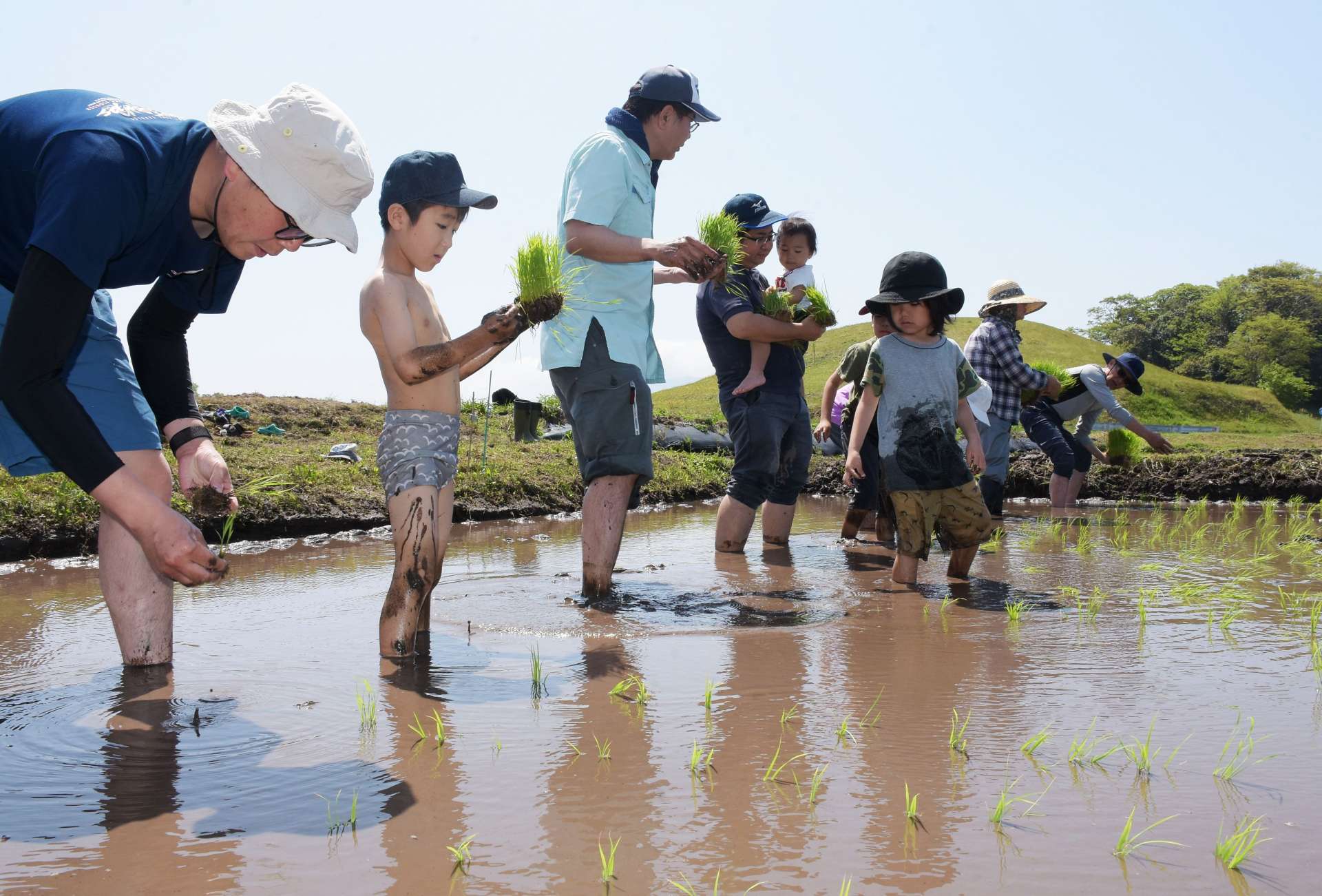 横瀬古墳を背に田植えに挑戦する参加者＝１９日、大崎町横瀬