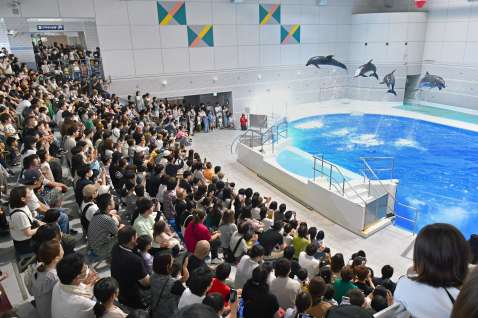 「イルカの時間」を楽しむ来場者＝２０２４年５月４日、鹿児島市のかごしま水族館