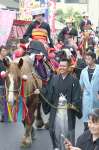 お釈迦まつりで花嫁を乗せて通りを練り歩くシャンシャン馬行列＝２０２４年４月２９日、志布志市