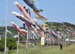 勢いよく泳ぐこいのぼり＝２１日、姶良市西餅田の思川河畔