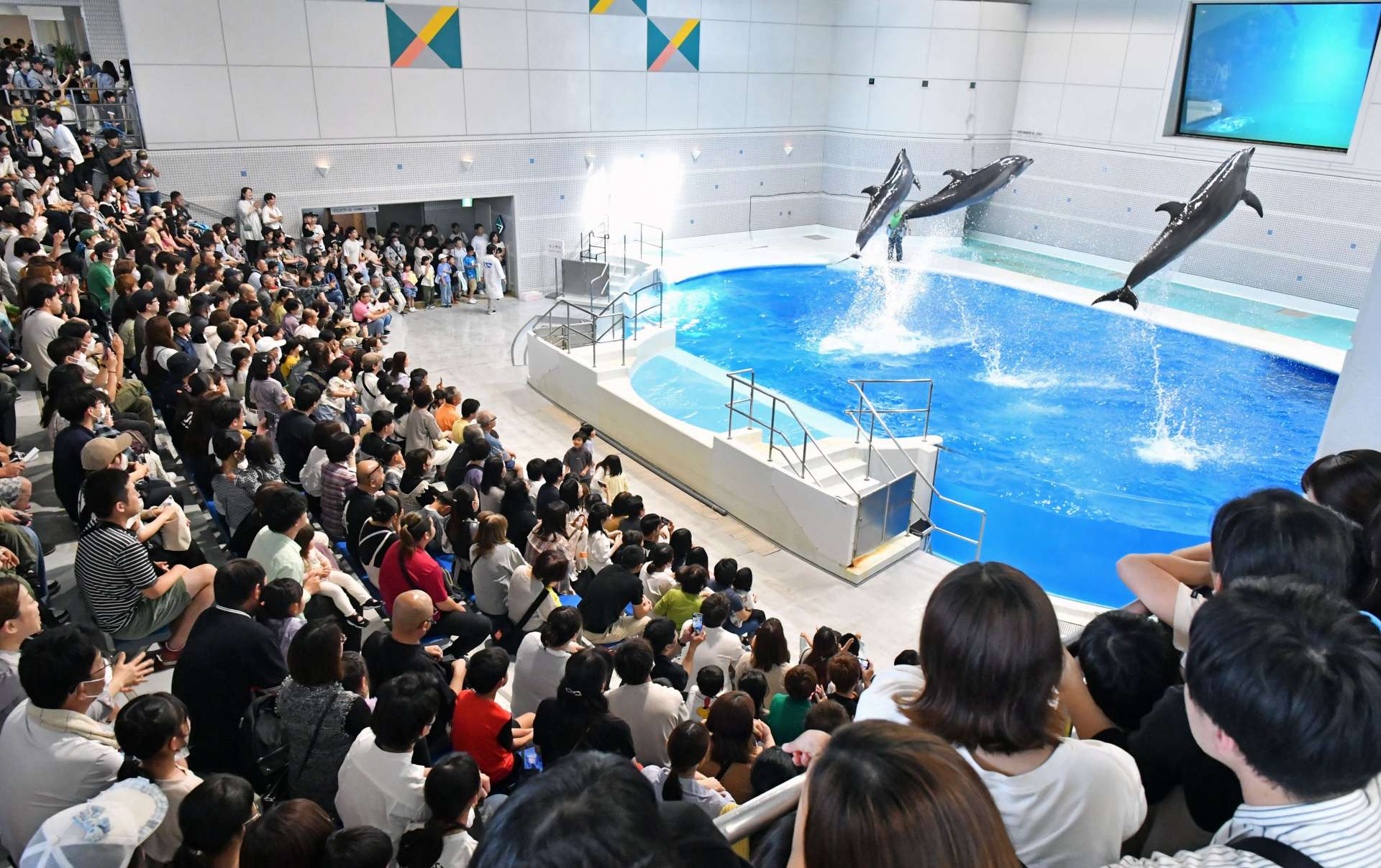 〈資料写真〉２０２４年５月４日、家族連れらでにぎわう「いるかの時間」＝鹿児島市のかごしま水族館