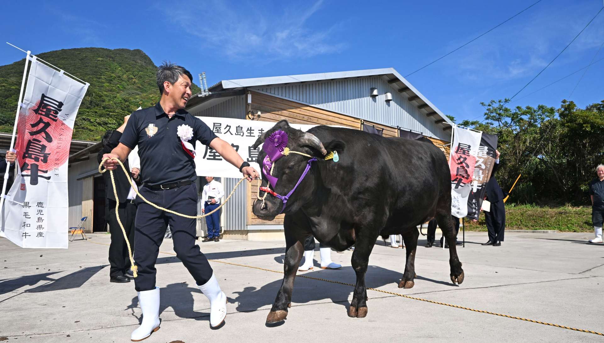 「屋久島牛」を披露する水迫ファームの水迫栄治社長＝２４日、屋久島町中間