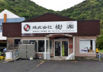 樹楽＝１日、姶良市加治木町木田
