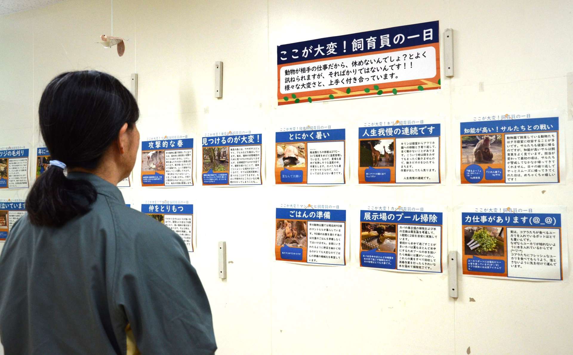 飼育員の裏話を紹介するパネル展＝１日、鹿児島市の平川動物公園