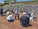 収穫体験で大きなジャガイモを手に笑顔の家族連れ＝長島町指江