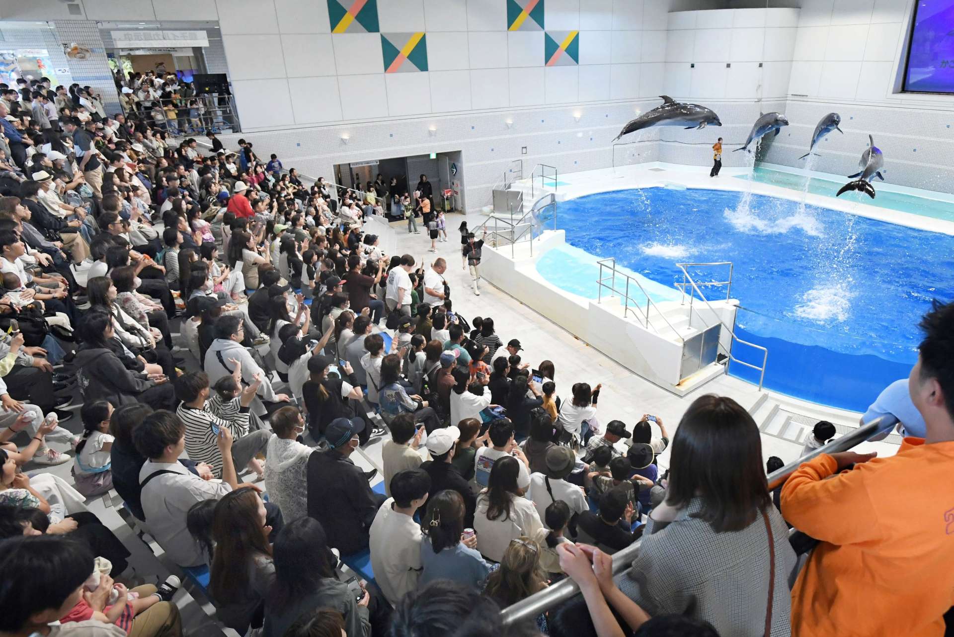 立ち見が出るほどのにぎわいを見せる「イルカの時間」＝３日午後、鹿児島市のかごしま水族館