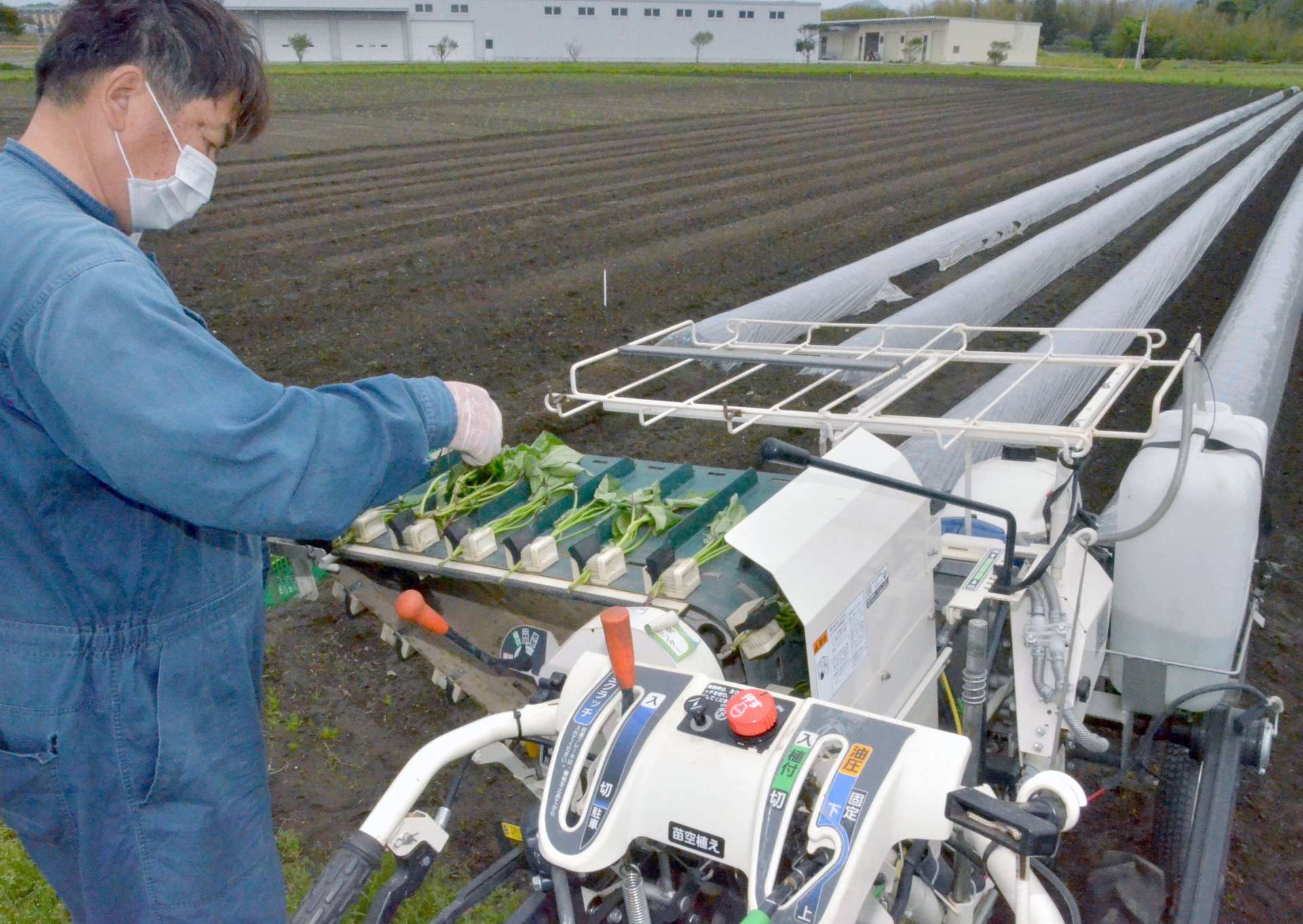 県農業開発総合センターなどが研究開発したサツマイモ挿苗機＝南さつま市の同センター