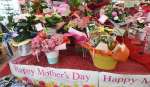 母の日向けにアレンジされた色とりどりの花かご