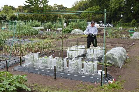 （毎日来る人も）農作業を楽しむ市民農園利用者＝鹿児島市川上町