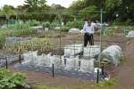 （毎日来る人も）農作業を楽しむ市民農園利用者＝鹿児島市川上町