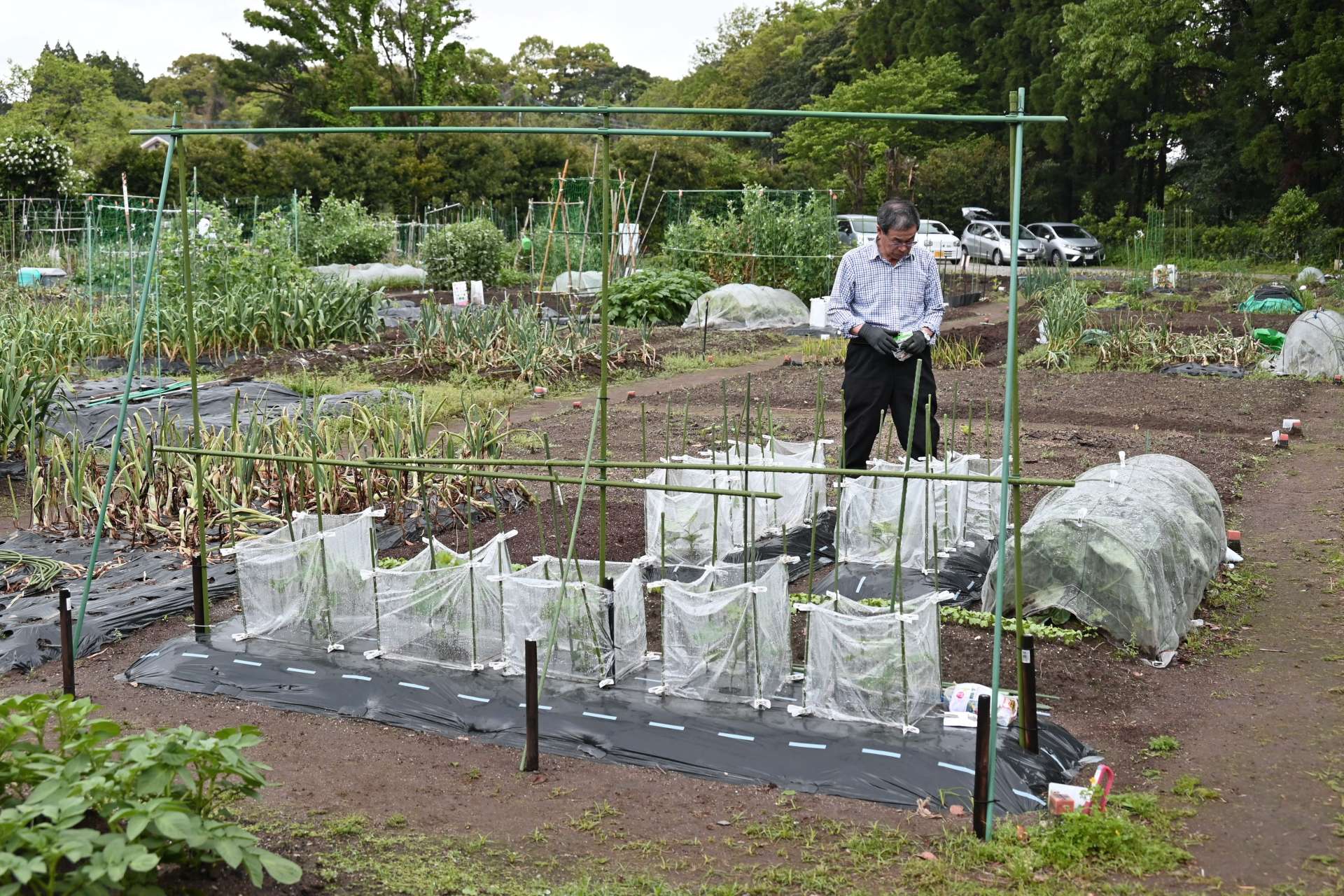 （毎日来る人も）農作業を楽しむ市民農園利用者＝鹿児島市川上町