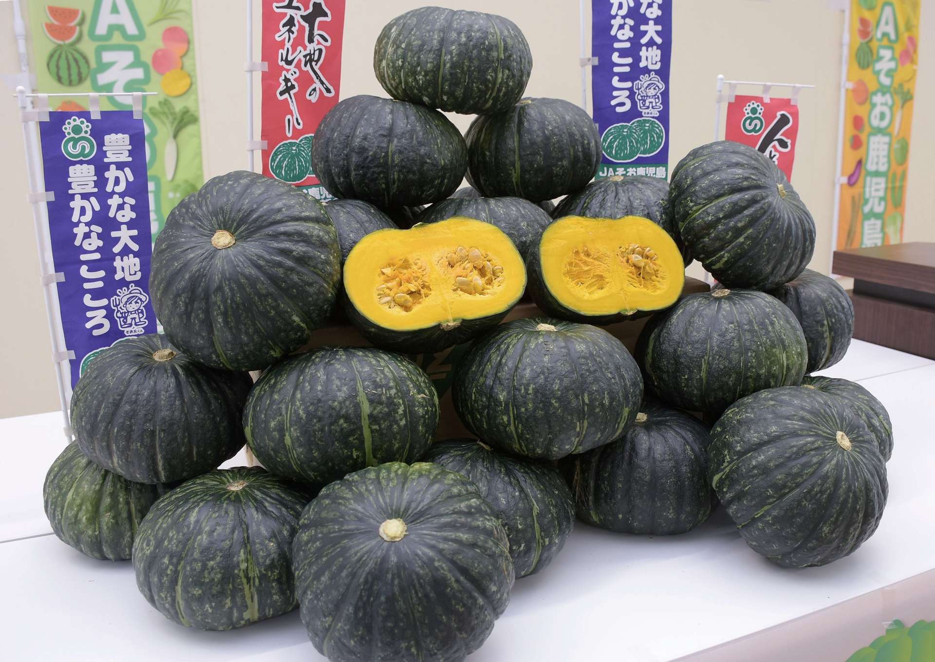 出荷が始まったＪＡそお鹿児島の春夏かぼちゃ＝９日、志布志市のＪＡそお鹿児島志布志支店