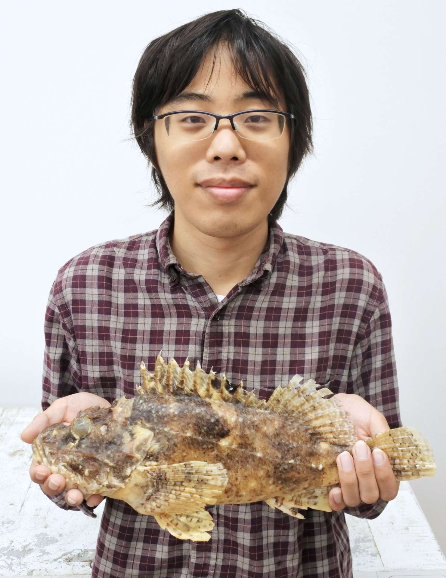 〈関連〉新種と判明したダイオウカサゴの標本を持つ松本達也特任助教＝１３日、鹿児島市の鹿児島大学