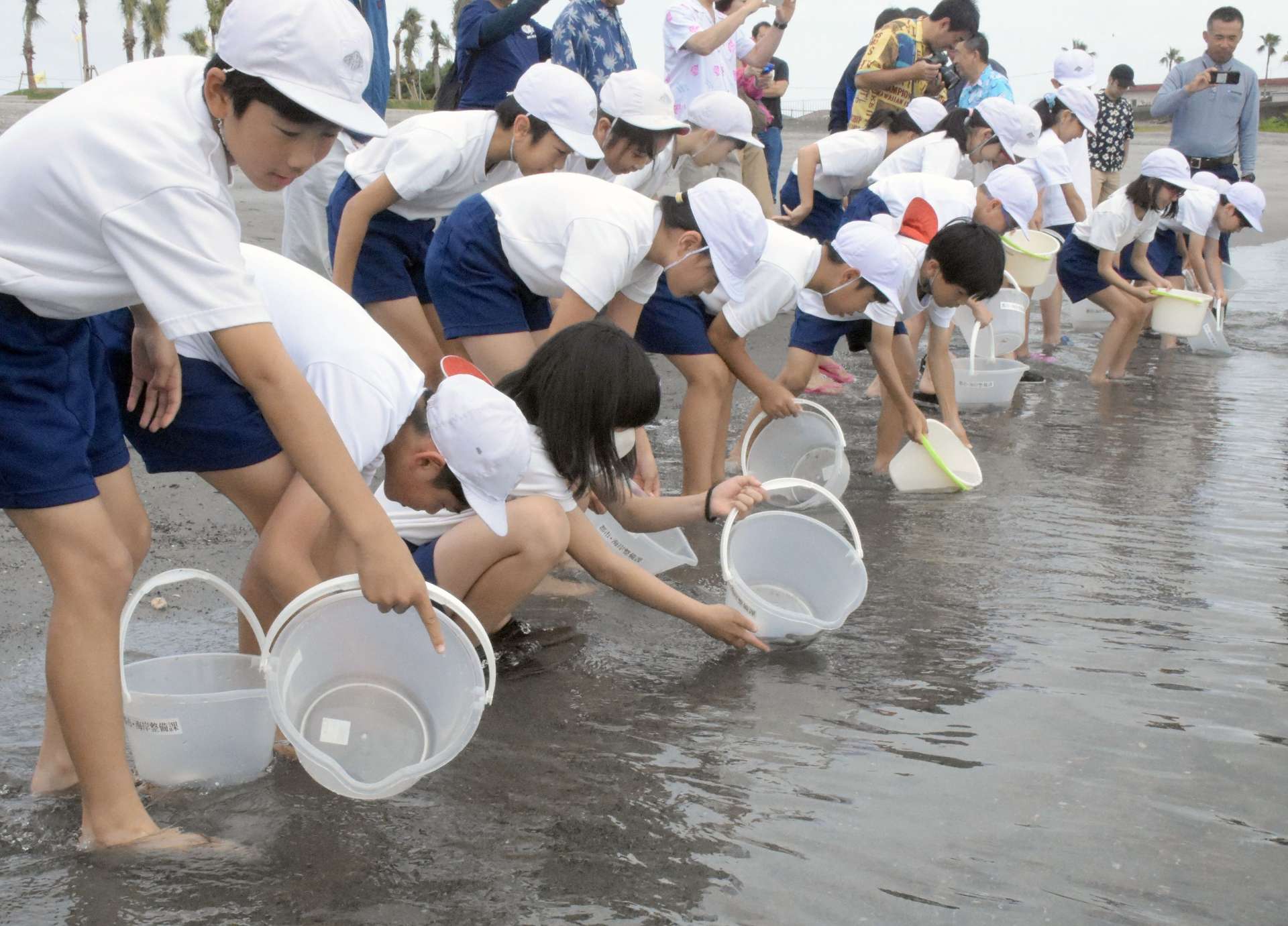 ヒラメの稚魚を放流する児童ら＝指宿市の指宿港海岸