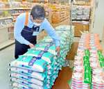 入荷した備蓄米を米売り場に並べる従業員＝１４日、鹿児島市のＡコープ桜ケ丘店