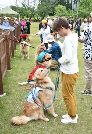 愛犬とゲームに挑む飼い主ら＝薩摩川内市樋脇