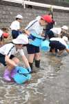 ヒラメの稚魚を放流する児童＝１６日、出水市荘
