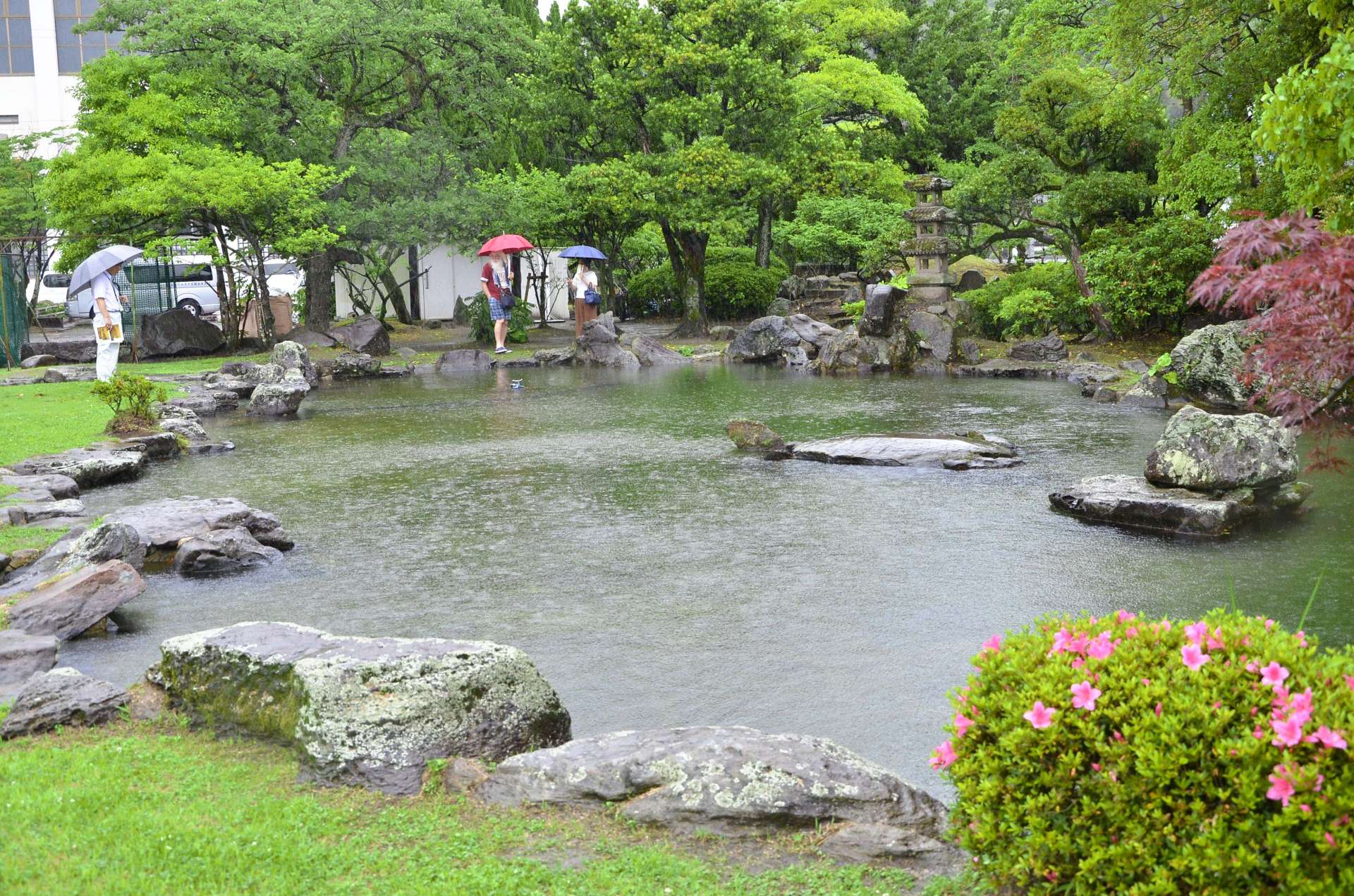 〈資料写真〉上御庭の「亀の池」を眺める市民ら＝鹿児島市玉里町の鹿児島女子高校（２０１９年５月撮影）