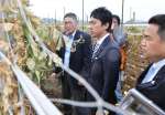 〈関連〉自民党農林部会長時代の２０１６年３月、スナップエンドウの被害を視察する小泉進次郎氏（中央）＝指宿市山川
