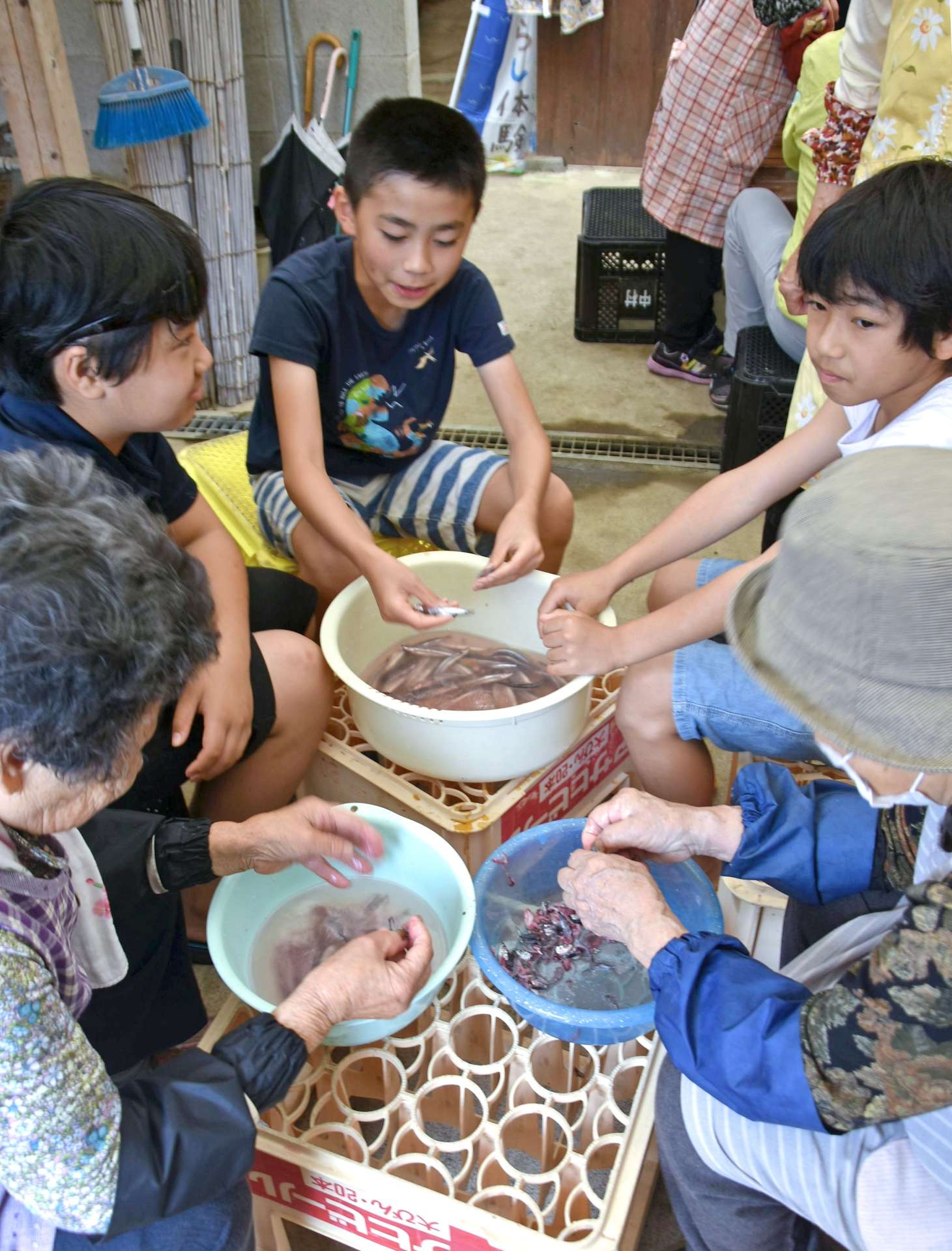 手でキビナゴを開いていく子どもたち＝南大隅町根占