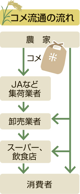〈関連〉農家から消費者まで――コメ流通の流れを図解で分かりやすく
