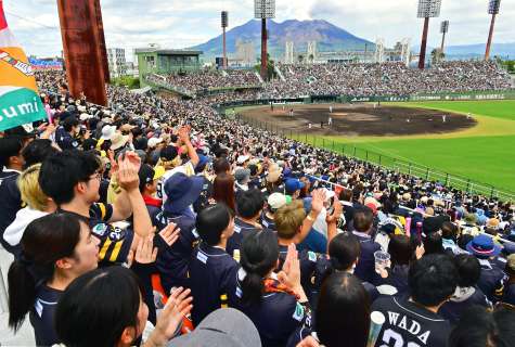 〈関連〉桜島も噴煙？　プロ野球パ・リーグ公式戦のソフトバンク－オリックス戦を楽しむ野球ファン＝２５日午後、鹿児島市の平和リース球場