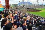 〈関連〉桜島も噴煙？　プロ野球パ・リーグ公式戦のソフトバンク－オリックス戦を楽しむ野球ファン＝２５日午後、鹿児島市の平和リース球場