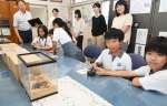 カブトムシの幼虫を恐る恐る触る児童＝鹿児島市の清和小学校