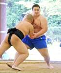 母校・樟南高校の後輩に胸を貸す大相撲の福崎真逢輝＝３１日、鹿児島市のかごしま健康の森公園相撲場