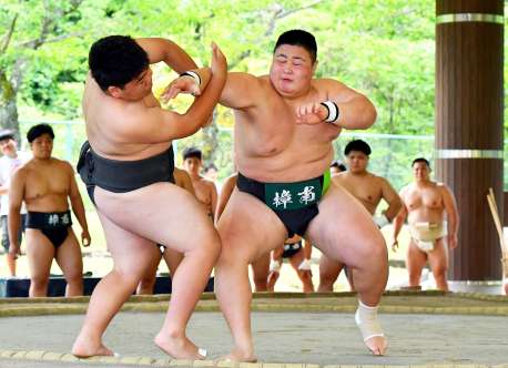 〈関連〉樟南高校時代の福崎。県高校総体団体戦で突き出しで勝つ＝２０２３年５月、かごしま健康の森公園