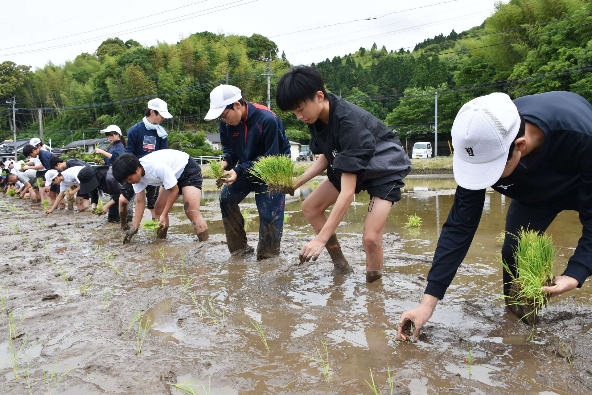 令和の米騒動下、田植えに挑戦する生徒ら＝姶良市下名