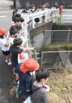 用水路の様子を確認する児童＝５月３０日、出水市西出水町