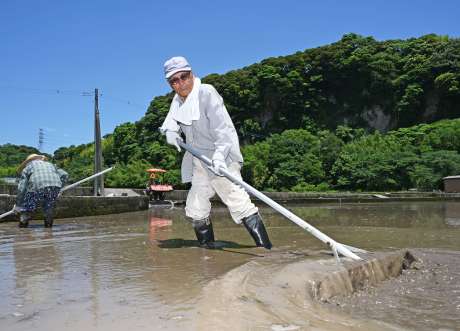 田植えに備え、代かきに精を出す農家＝４日、鹿児島市岡之原町