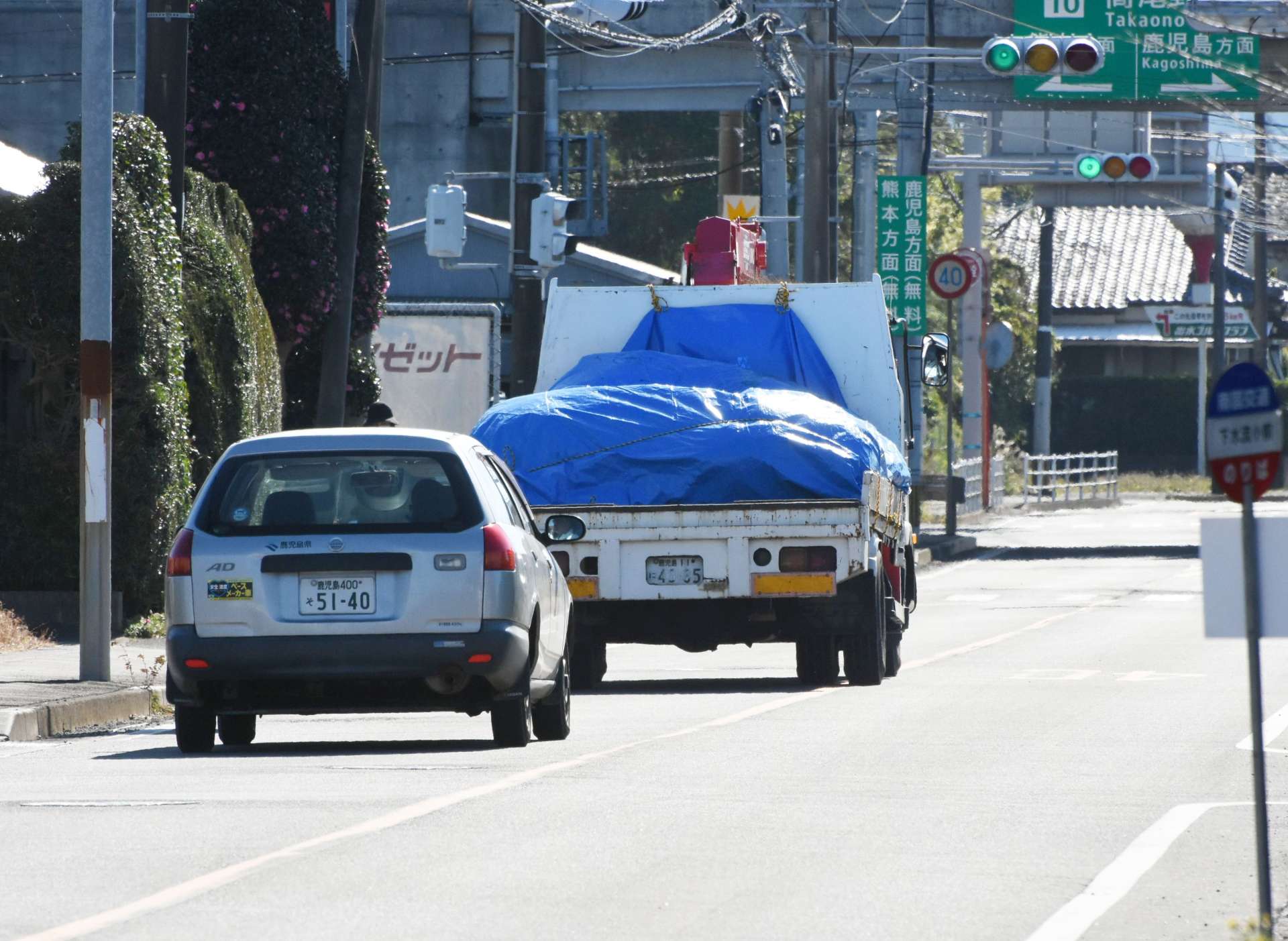 約４キロ離れた埋却地へ殺処分鶏などを運ぶトラック＝２０２４年１１月２３日、出水市