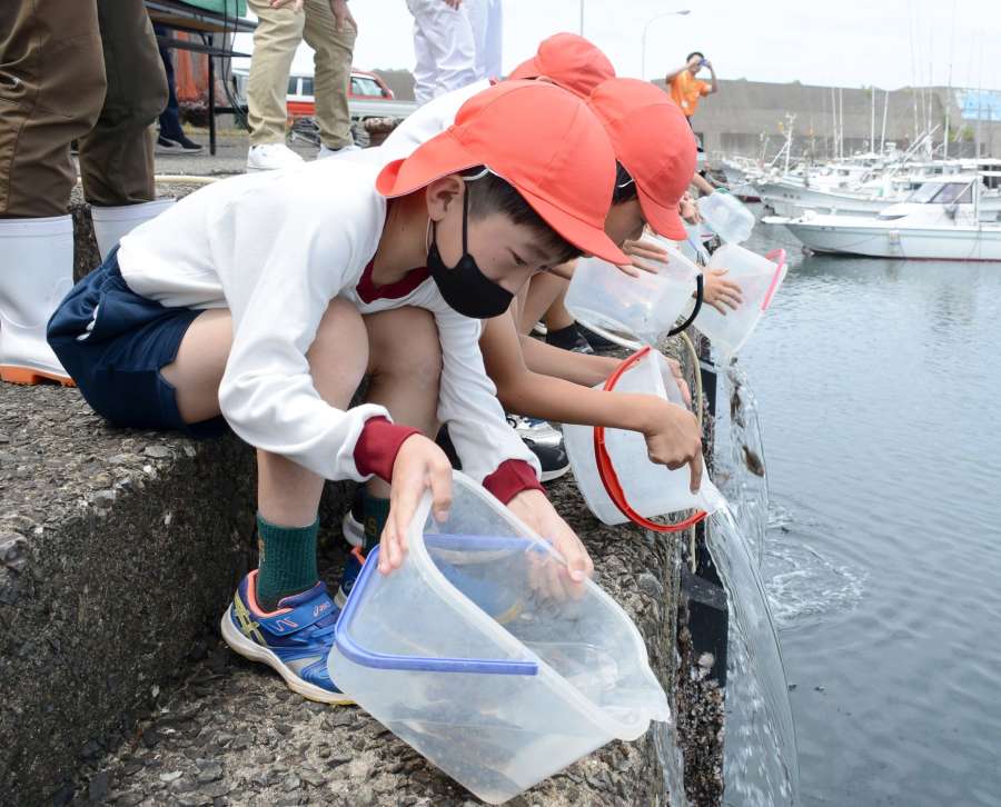ヒラメの稚魚を放流する児童＝６日、南九州市頴娃町別府