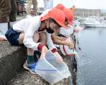ヒラメの稚魚を放流する児童＝６日、南九州市頴娃町別府