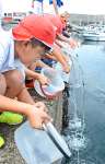 ヒラメの稚魚を放流する児童＝６日、南九州市頴娃町別府