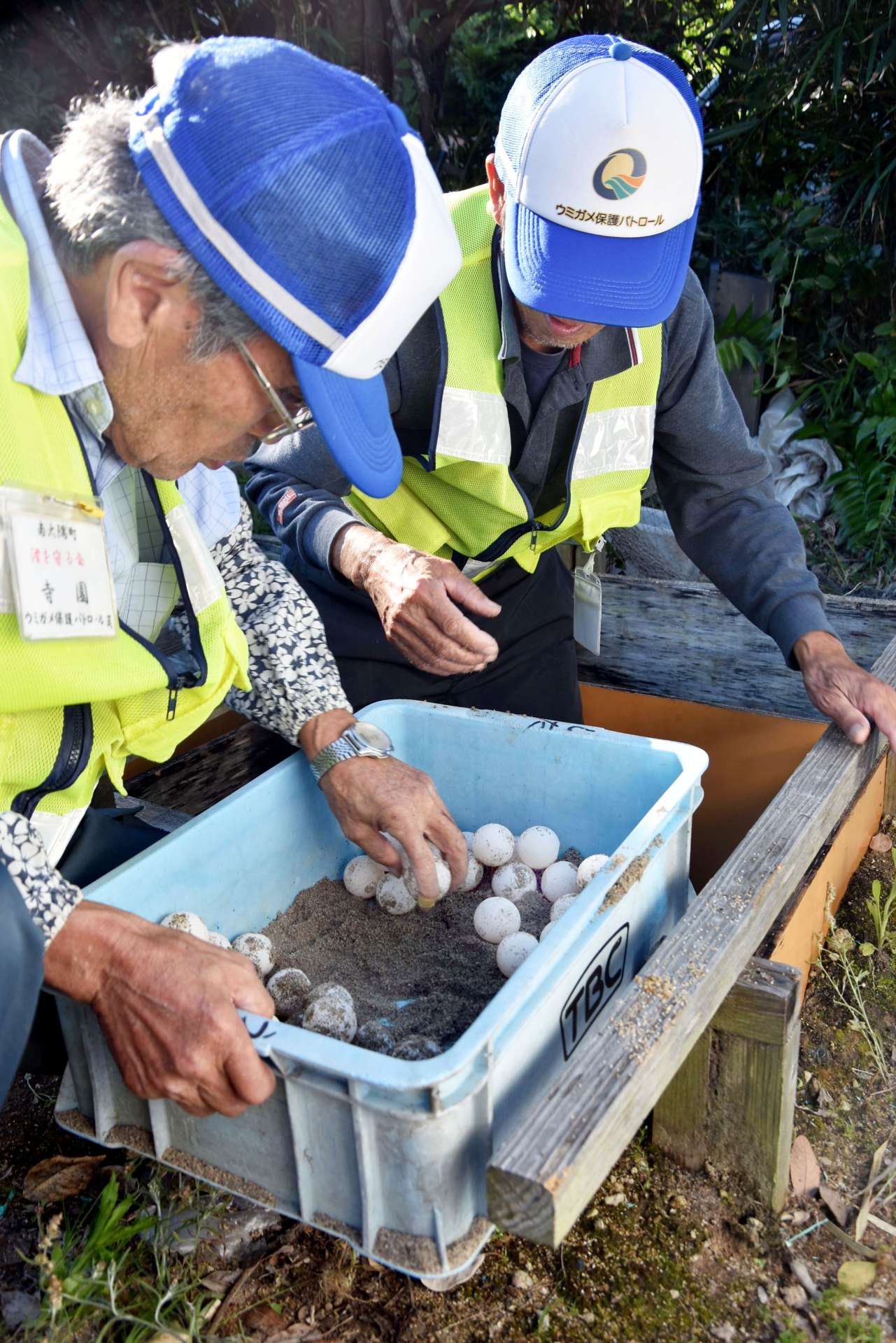 ウミガメの卵を保護する「渚を守る会」のメンバー＝南大隅町根占山本
